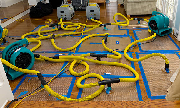 Professional Water Damage Repair technician working in Mattoon, IL